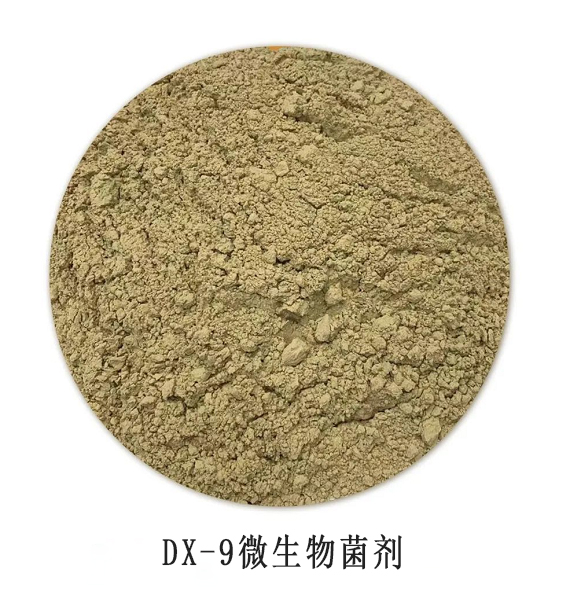 DX-9微生物菌剂.jpg